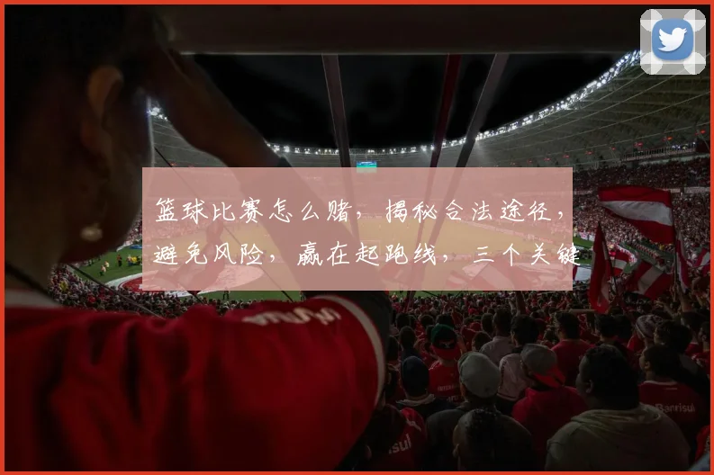 篮球比赛怎么赌，揭秘合法途径，避免风险，赢在起跑线，三个关键点，必看